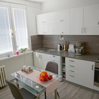 Pronájem bytu 1+1 37 m² Litvínov, Tylova