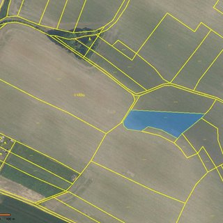 Prodej zemědělské půdy 4 566 m² Dolní Stakory