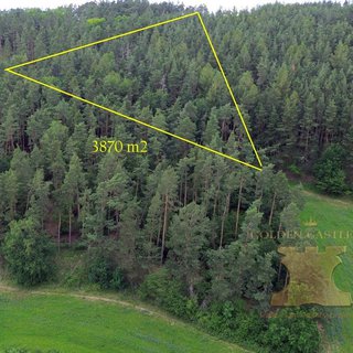 Prodej lesa 3 870 m² Počepice, 