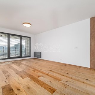 Pronájem bytu 1+kk a garsoniéry 50 m², Breitfeldova