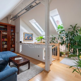 Prodej bytu 5+1 a více 250 m² Praha, Žitomírská