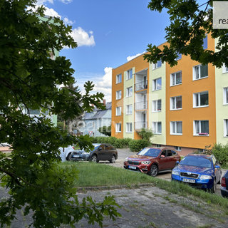 Prodej bytu 2+kk 36 m² Nový Bor, Palackého