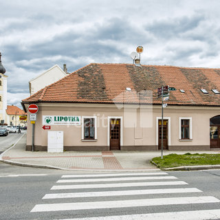 Prodej obchodu 355 m² Dobřany, Lipová