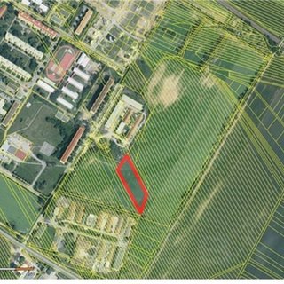 Dražba zemědělské půdy 4 712 m² Veselí nad Moravou