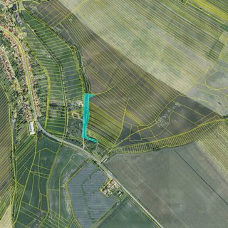 Dražba zemědělské půdy 9 359 m² Krumvíř