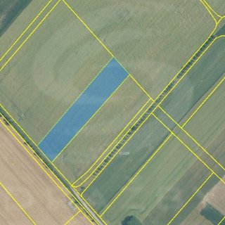 Dražba zemědělské půdy 6 378 m² Radkova Lhota