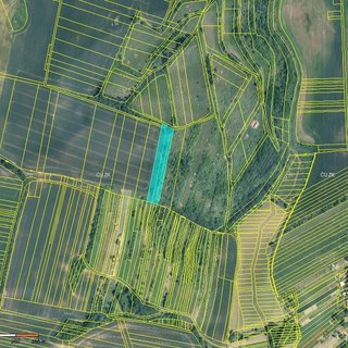 Dražba zemědělské půdy 2 393 m² Skalka