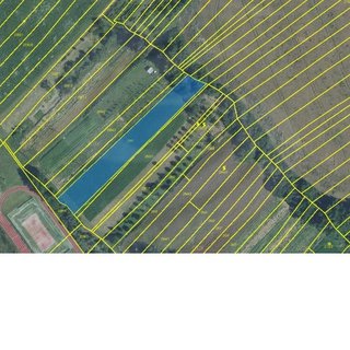 Dražba zemědělské půdy 2 486 m² Traplice