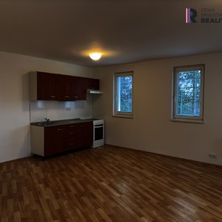 Pronájem bytu 1+kk a garzoniéry 30 m² Zlín, Pod Vrškem
