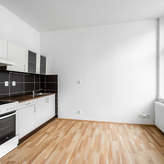 Pronájem bytu 1+kk a garsoniéry 28 m² Plzeň, Nerudova