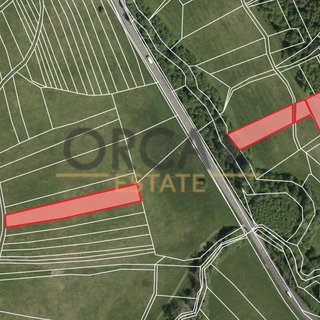 Prodej zemědělské půdy 5 623 m² Kaňovice, 