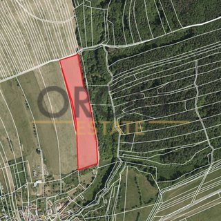 Prodej zemědělské půdy 19 906 m² Kaňovice, 