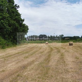 Prodej zemědělské půdy 2 607 m² Třebechovice pod Orebem