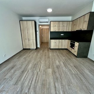 Pronájem bytu 1+kk a garsoniéry 28 m² Olomouc, Topolová