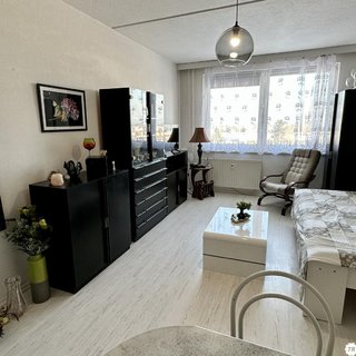 Pronájem bytu 1+kk a garsoniéry 30 m² Třeboň, Táboritská