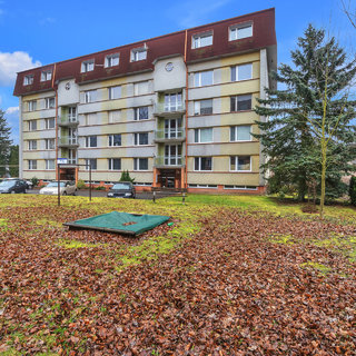 Prodej bytu 1+1 35 m² Žamberk, U Polikliniky