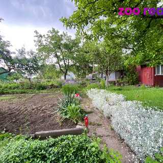 Prodej zahrady 400 m² Chomutov, 