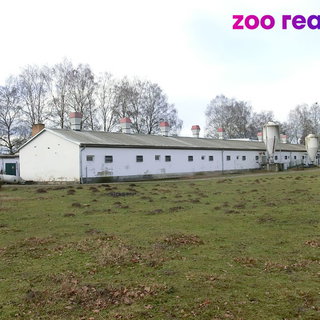 Prodej zemědělského objektu 2 000 m² Majdalena, 
