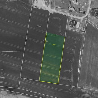 Prodej zemědělské půdy 6 558 m² Pačejov