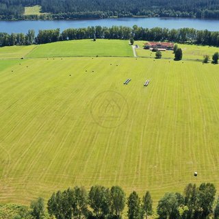 Prodej zemědělské půdy 92 549 m² Horní Planá