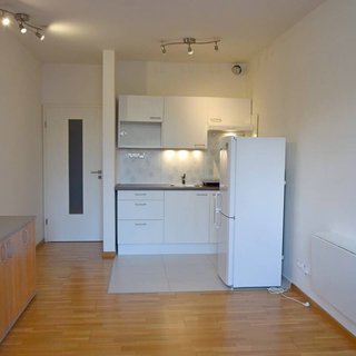 Pronájem bytu 1+kk a garsoniéry 26 m² Praha, Pod lysinami