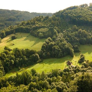 Prodej lesa 21 679 m² Nýdek