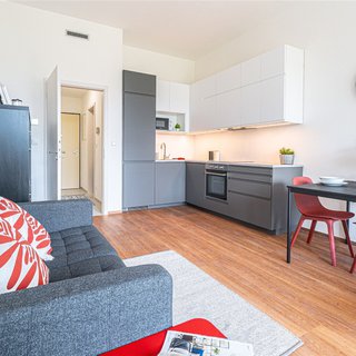 Pronájem bytu 5+1 a více 33 m² Brno, Opuštěná