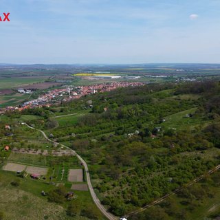 Prodej zemědělské půdy 4 456 m² Blučina