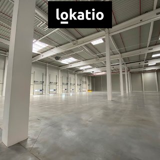 Pronájem skladu 2 900 m² Ostrava, 