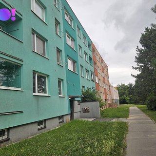 Pronájem bytu 2+1 44 m² Ostrava, Václava Košaře