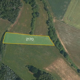 Prodej zemědělské půdy 4 199 m² Paračov
