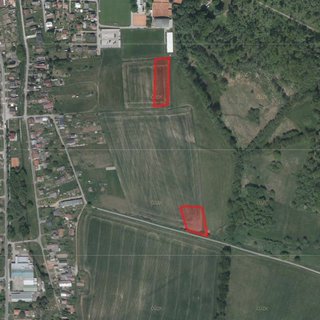 Prodej zemědělské půdy 7 166 m² Lázně Bělohrad
