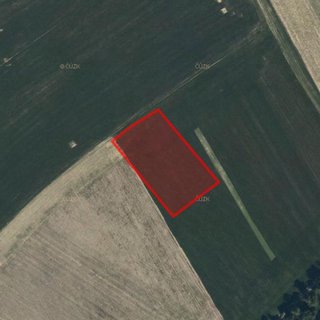 Prodej zemědělské půdy 5 059 m² Verměřovice