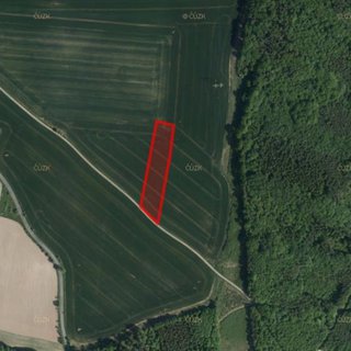 Prodej zemědělské půdy 5 025 m² Morašice