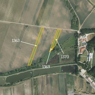 Prodej zemědělské půdy 11 303 m² Hlohovec