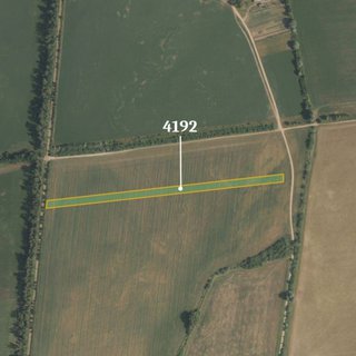 Prodej zemědělské půdy 7 015 m² Suchá Loz