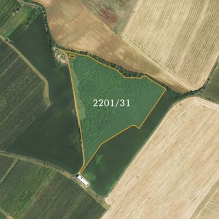 Prodej ostatního pozemku 71 982 m² Bořetice