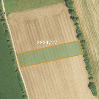 Prodej zemědělské půdy 4 054 m² Klobouky u Brna