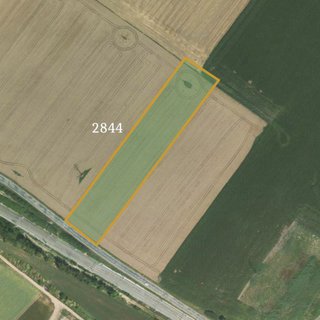 Prodej zemědělské půdy 32 132 m² Popice