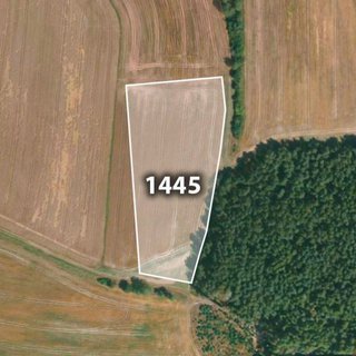 Prodej zemědělské půdy 21 466 m² Velečín