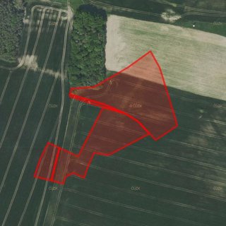 Prodej zemědělské půdy 17 987 m² Křečovice