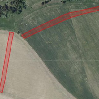 Prodej zemědělské půdy 10 250 m² Hrutov