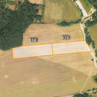Prodej zemědělské půdy 7 051 m² Bynovec