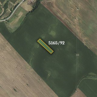Prodej zemědělské půdy 1 437 m² Čejkovice