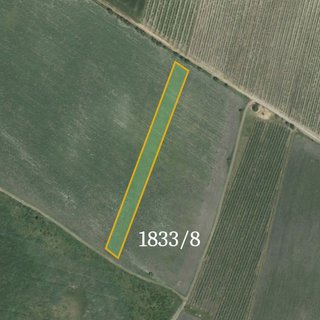 Prodej zemědělské půdy 5 378 m² Hlohovec