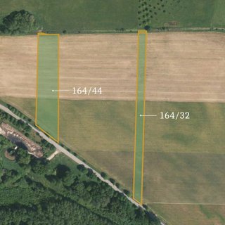 Prodej zemědělské půdy 24 657 m² Borohrádek