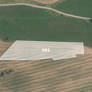 Prodej zemědělské půdy 9 770 m² Drhovle