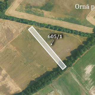 Prodej zemědělské půdy 13 936 m² Horušice