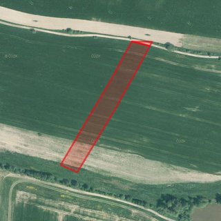 Prodej zemědělské půdy 15 356 m² Kluky