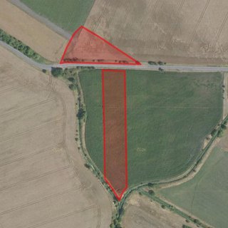 Prodej zemědělské půdy 12 996 m² Sudovo Hlavno